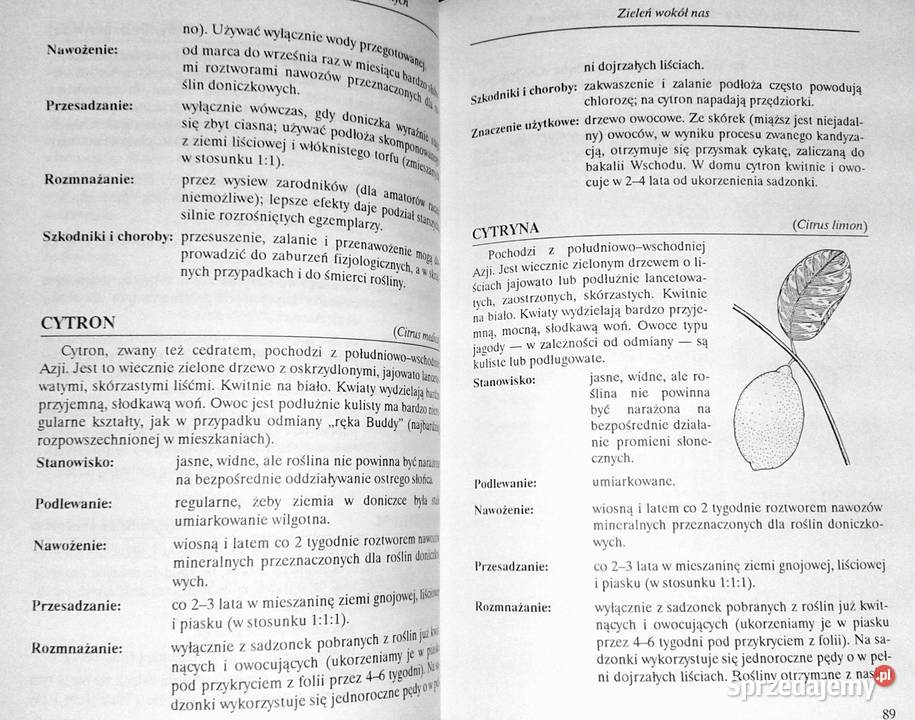 Mała encyklopedia doniczkowych roślin ozdobnych
