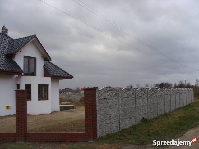Okazja dom wolnostojący w Paczkowie koło Paczkowo