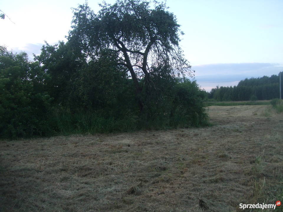 Dom działka 29 arów Grunty i działki Czepielowice