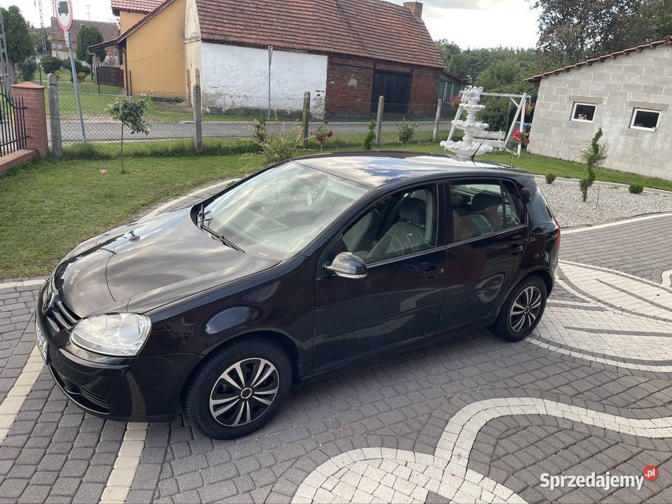 Volkswagen Golf V z 2007 roku z silnikiem 19 TDI dolnośląskie Orsk sprzedam