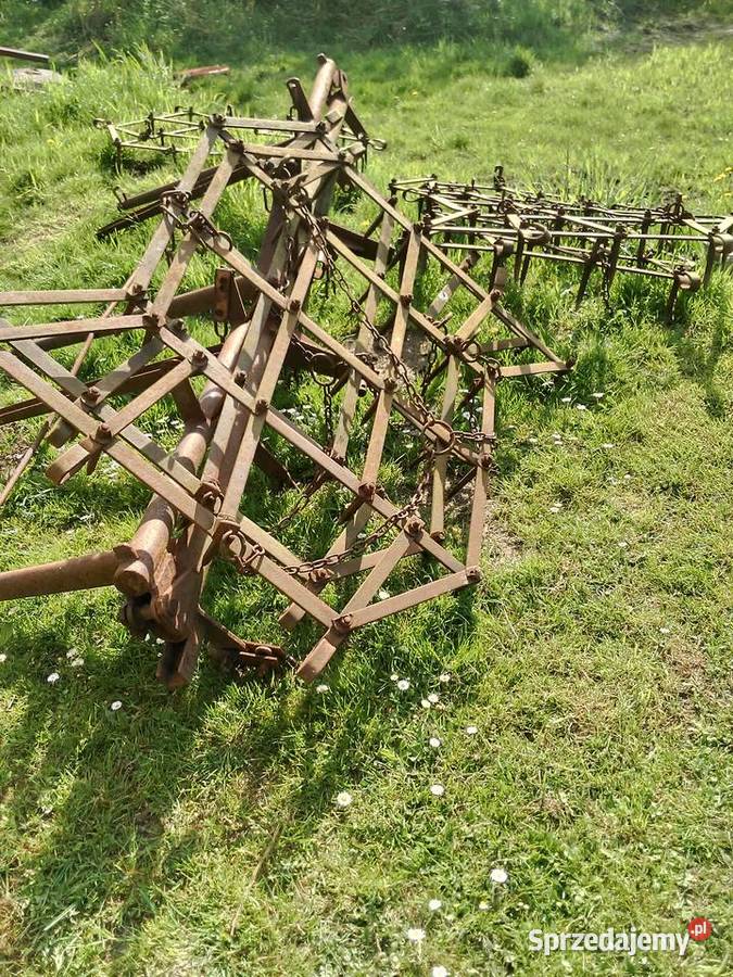 Brony Grudziądz Niepołomice