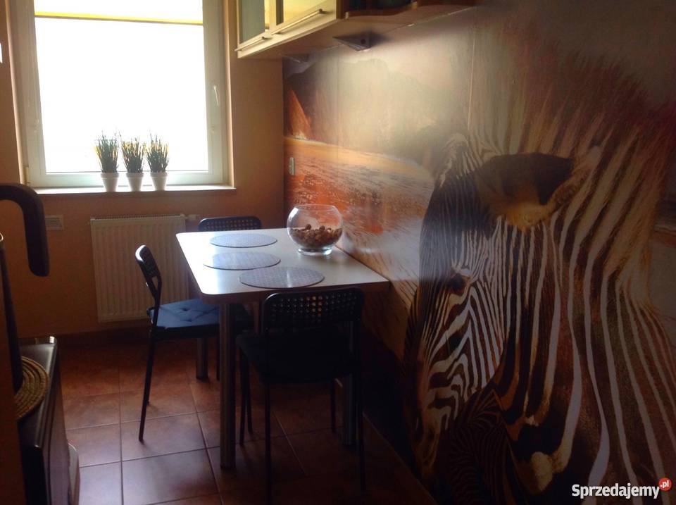 Mieszkanie TBS Liczba pokoi 3 Aleksandrów Łódzki