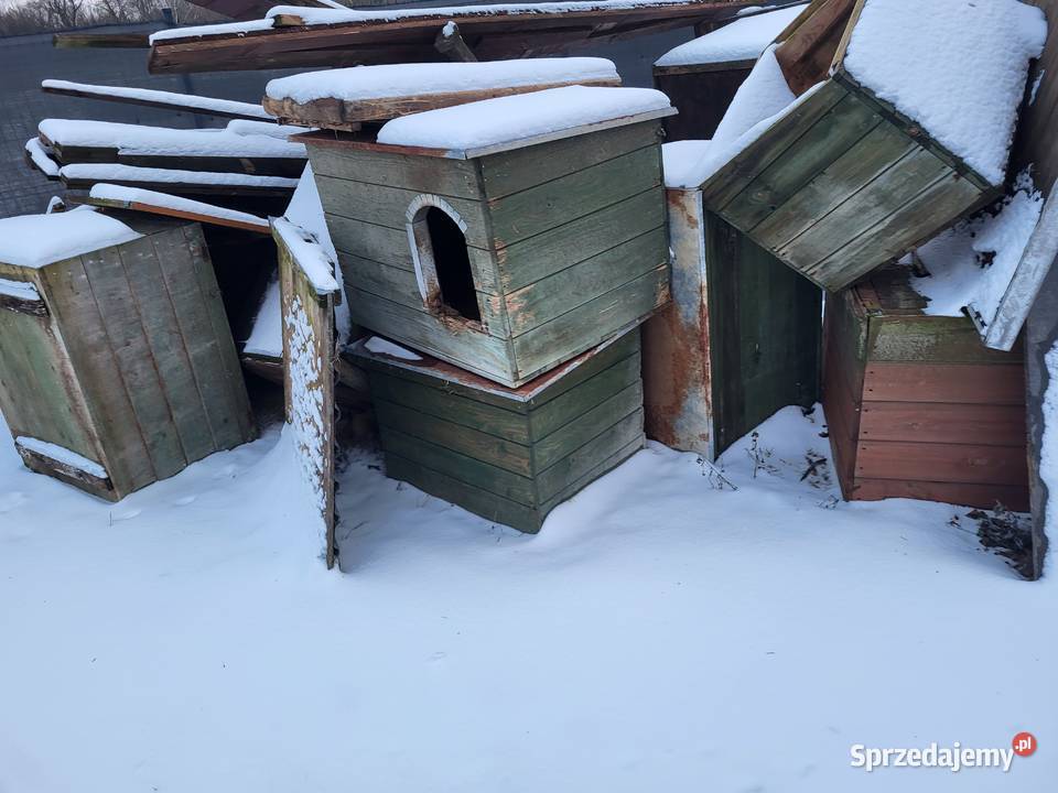 Sprzedam budy psów Łódź