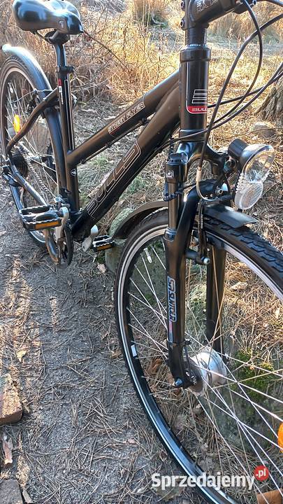 Alu Rower Miejski Damski Bulls Street Flyer 3x8 dolnośląskie Wołów sprzedam