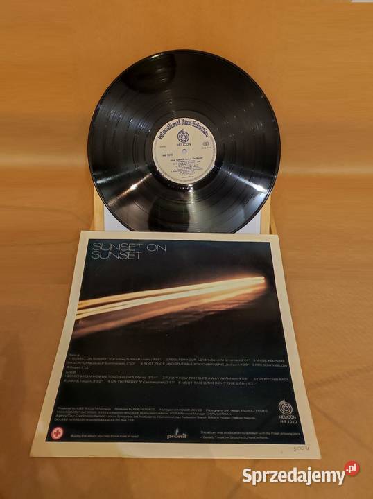 1982 Tina Turner Sunset On Sunset Płyta Kielce