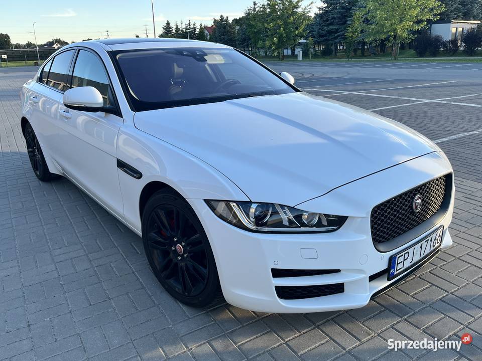 Jaguar XE nieuszkodzony Dworszowice Pakoszowe