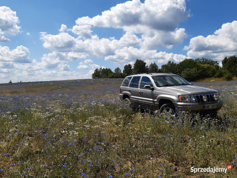 Jeep Grand Cherokee Wj 47 H0 2002 Gdynia