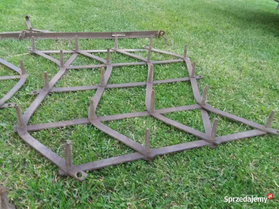 Brony konne Wola Wereszczyńska