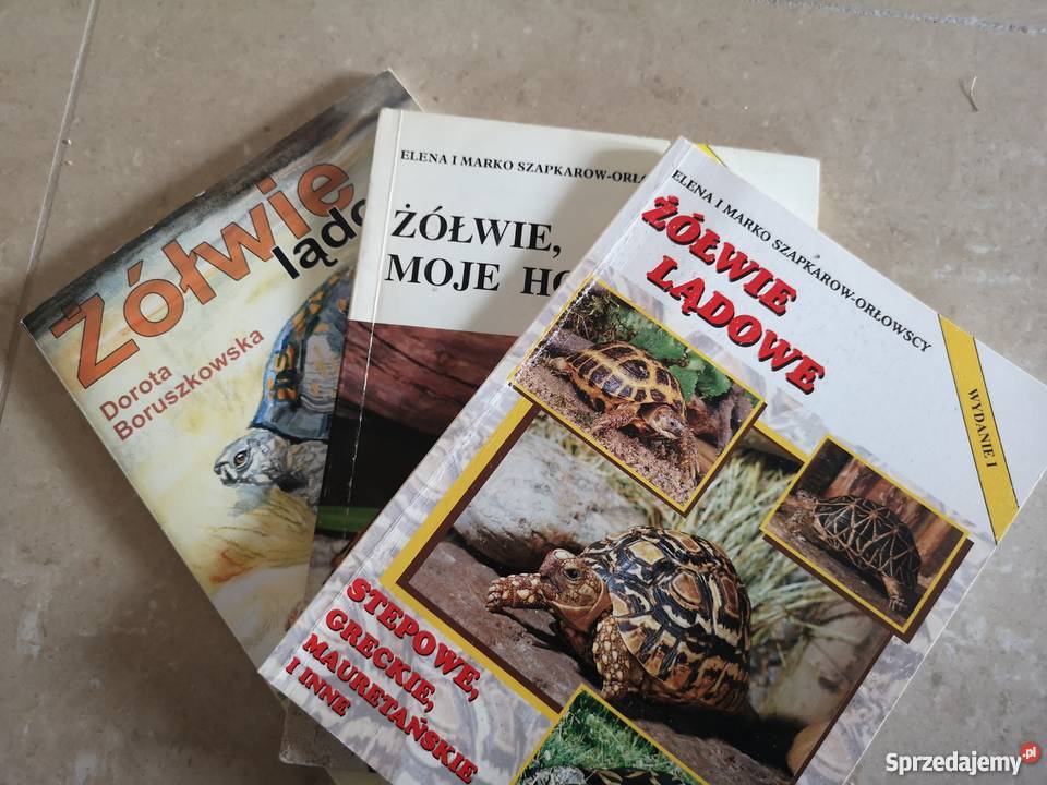 Żółwie Lamparcie 2 Terrarium lubelskie Milejów
