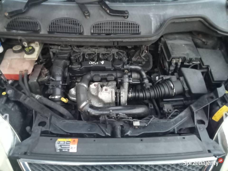 Silnik ford mazda citroen peugeot G8DA G8DB G8DD Rok produkcji 2004 Piotrków Trybunalski