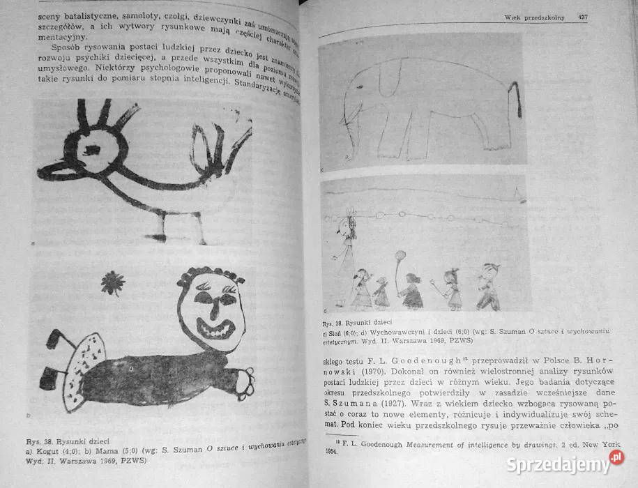 Psychologia rozwojowa dzieci i młodzieży Tom 2 lubelskie Chełm sprzedam