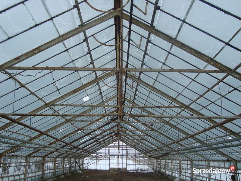 szklarnię do rozbiórki lubelskie Wierzbica-Kolonia