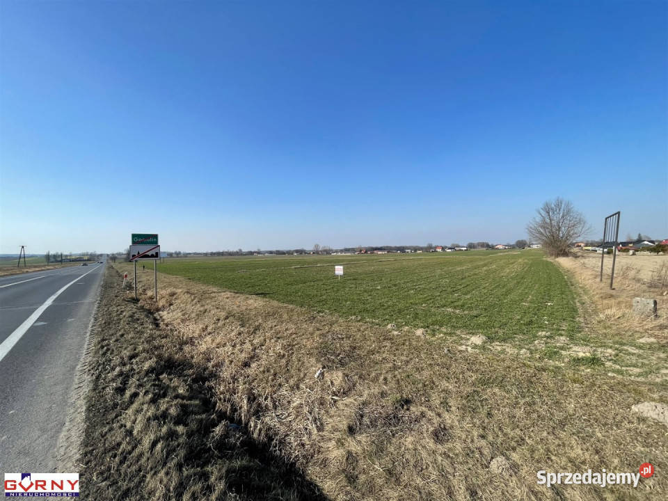 Działka Gomulin 16400m2 sprzedam