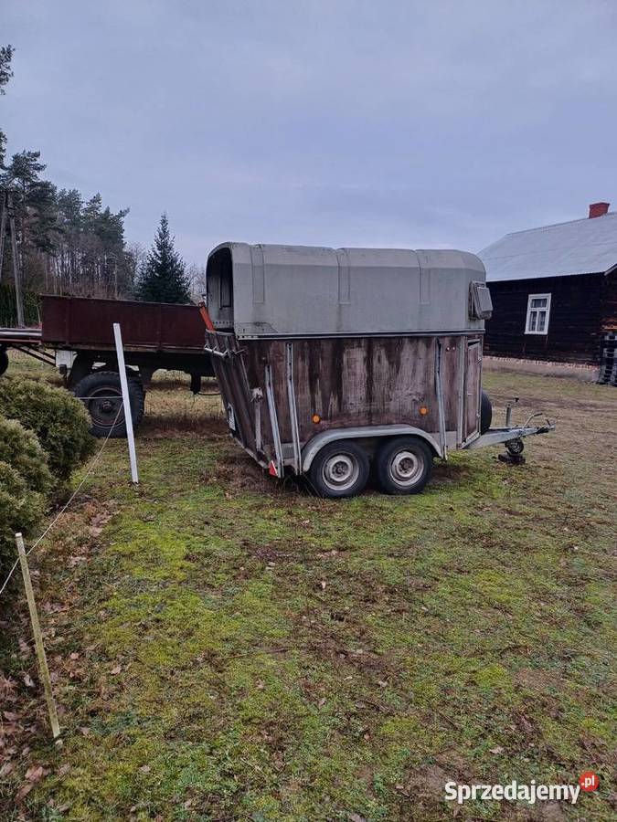 przyczepa do przewozu koni koniowóz Boeckmann Boeckman Sitne