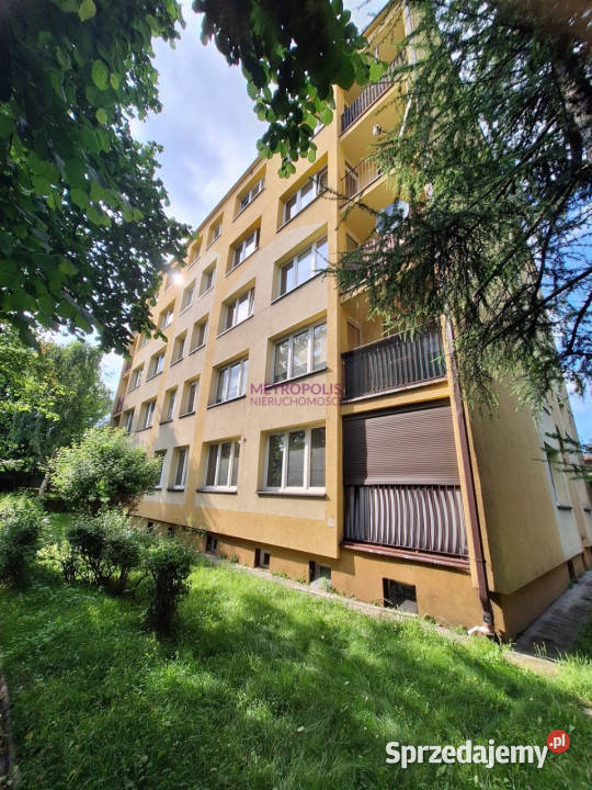 Mieszkanie Rybnik 4895m2 2 pokoje Sprzedaż