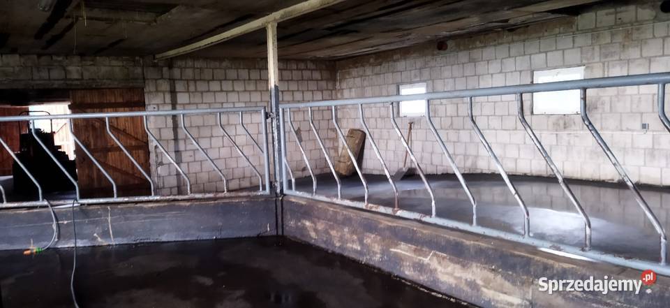 Drabiny paszowe Ogrodzenia i pastuchy podlaskie sprzedam