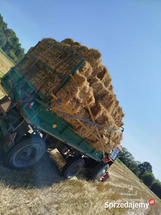 Sprzedam słomę tegoroczną Kołaczyce