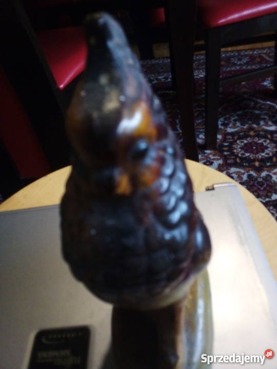 Stary Orzeł Warszawa