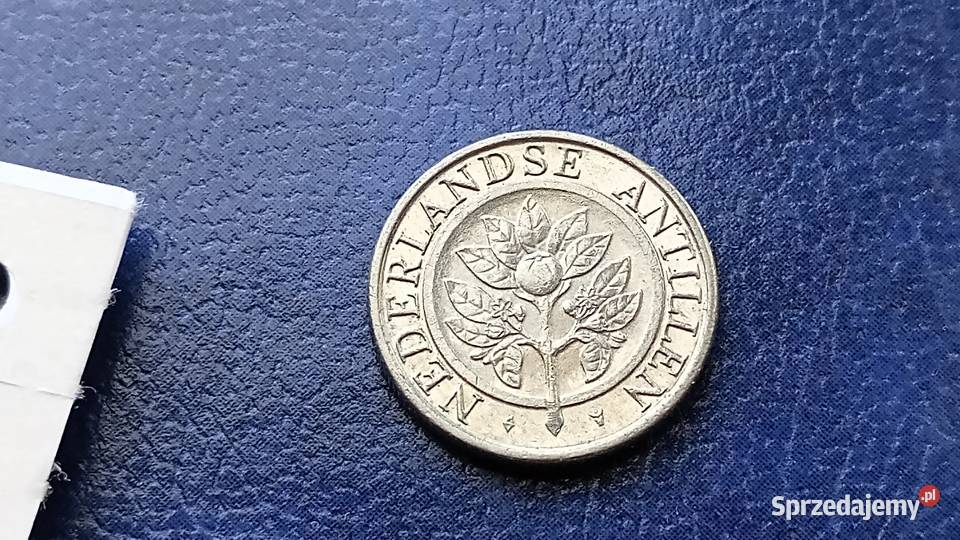 Stare monety 10 cent 1999 Antyle Holenderskie Lesko