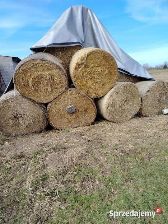 Słoma Kościelec sprzedam