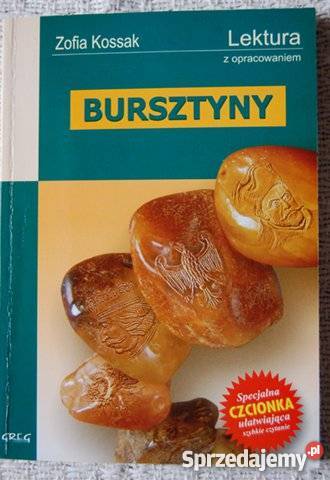 Bursztyny Zofia Kossak Rok wydania 2008 podlaskie sprzedam