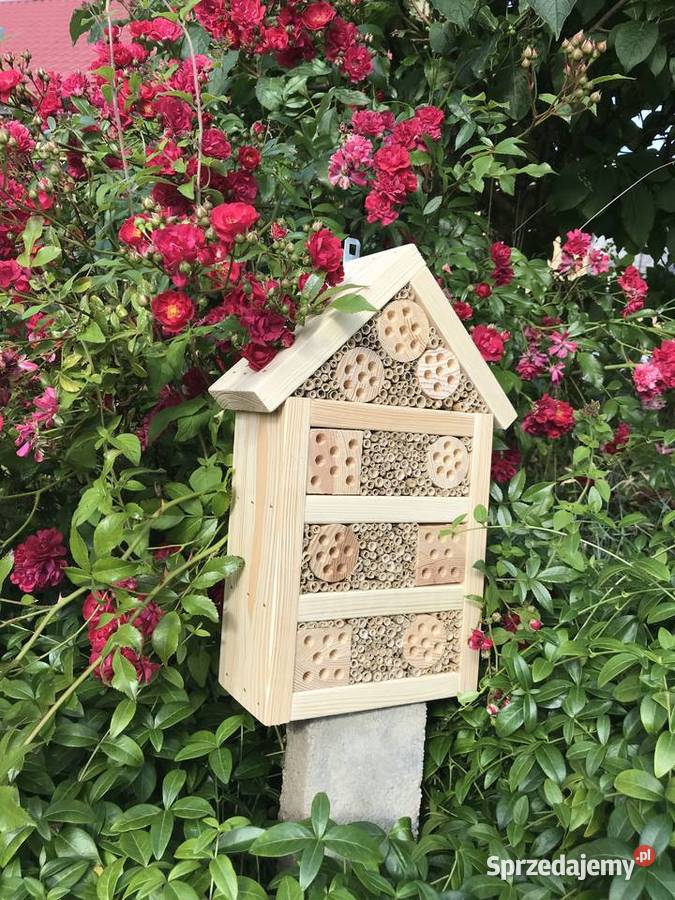 domek owadów pszczoły murarki sprzedam