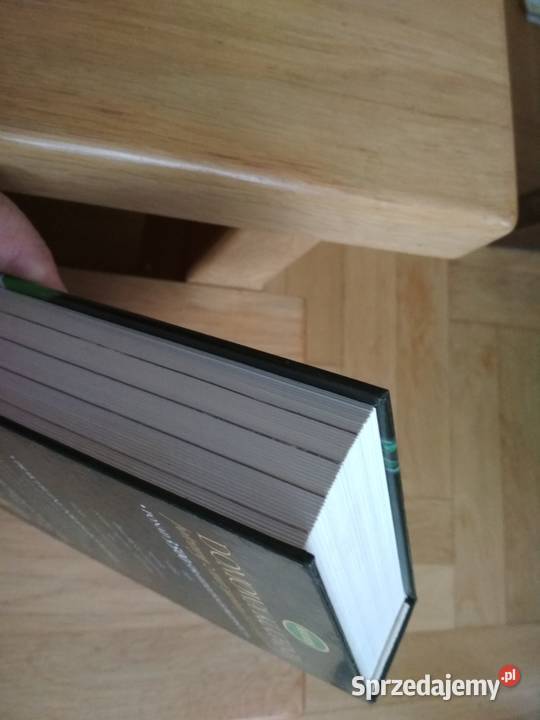 Domowa Kuchnia przepisy z warzywami Białystok sprzedam