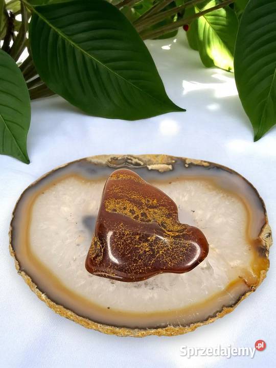 Broszka z bursztynu bursztyn bryłka 1497 mazowieckie Warszawa