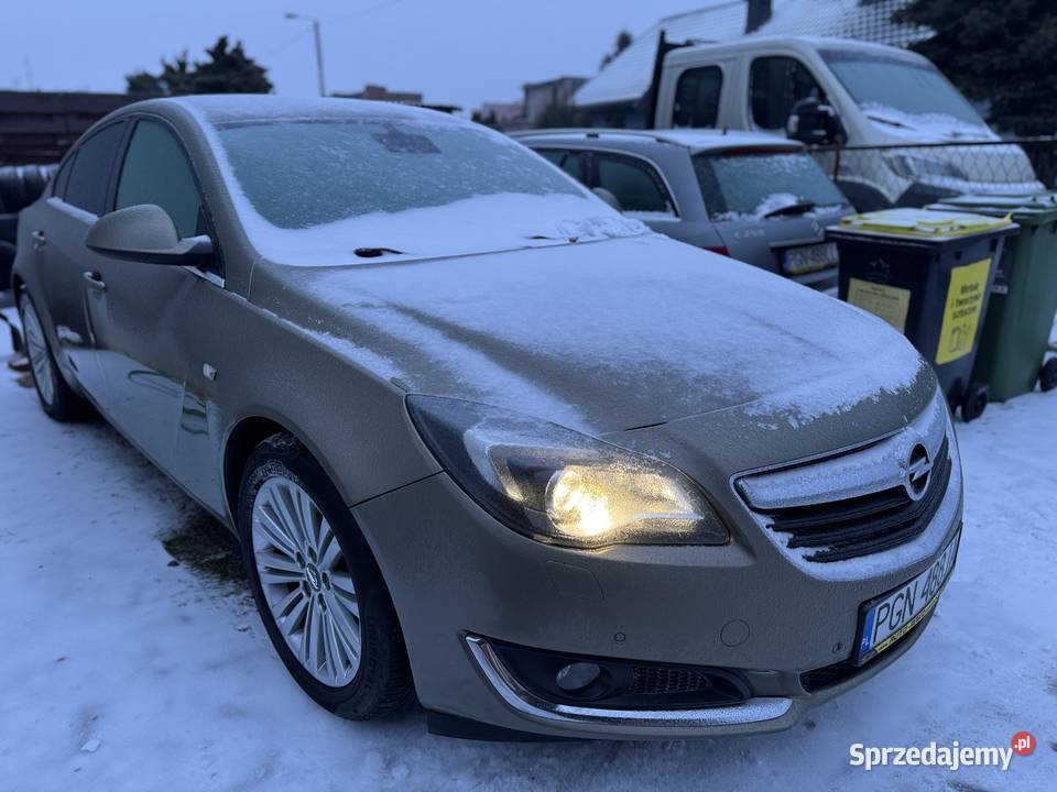Opel Insignia wielkopolskie Gniezno