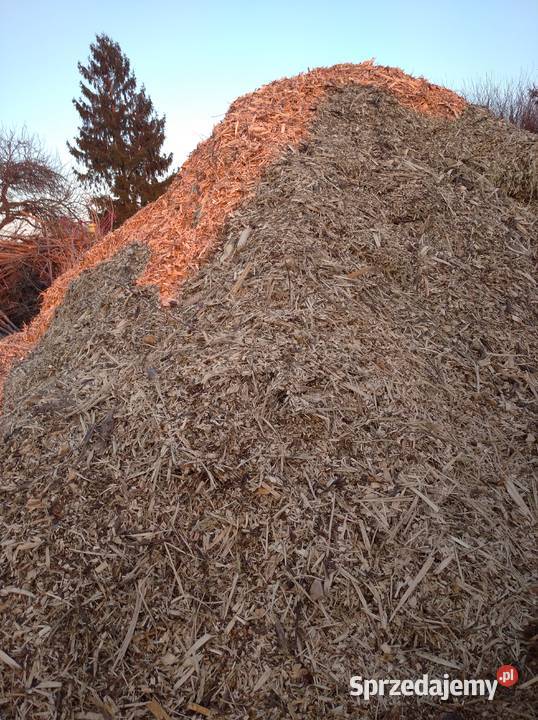 zrębka drewno opałowe łódzkie Zelów sprzedam