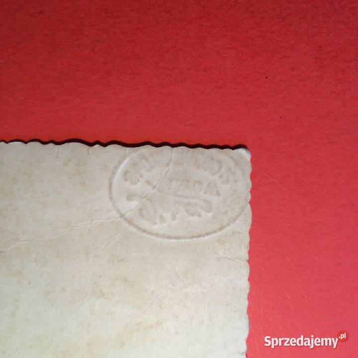 2025 Zdjecie Lwów 2 Szczecin