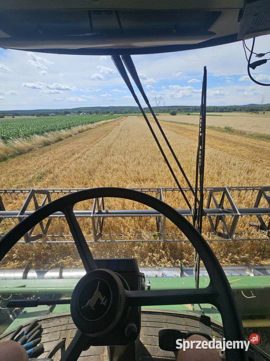 Owies Ozimy ilość około 34 tony odmiana Snowbird Zboża Turów