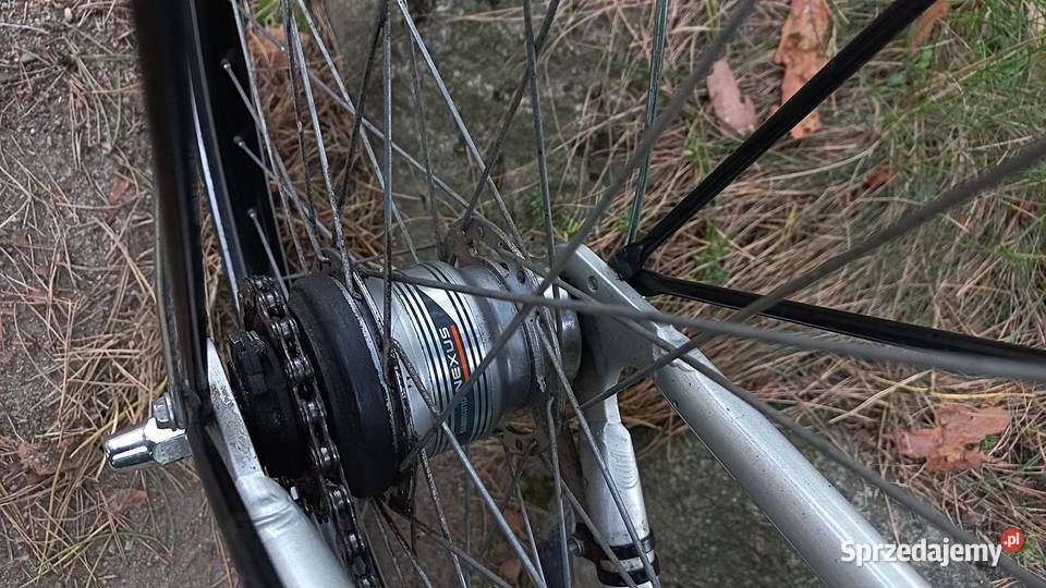 Alu Rower Miejski Młodzieżowy Pegasus Avanti Wołów