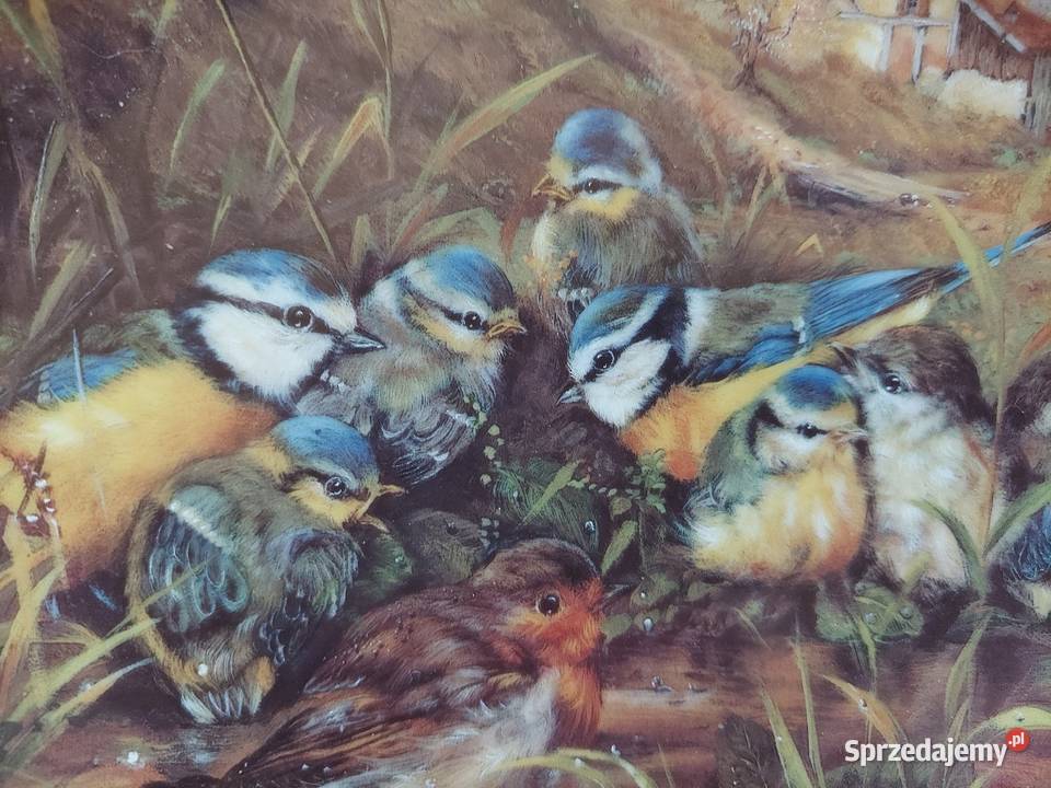 Talerz kolekcjonerski Seltman Weiden sikorki z Chełm