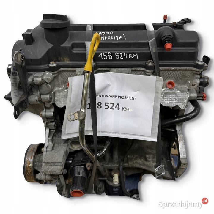 SILNIK G4LA Hyundai i10 i20 i30 14 16V benzyna Silniki kompletne Chełm sprzedam