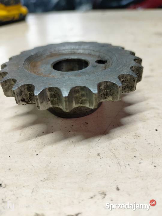 Zębatka wału sprzęgła Jawa cz 175 21Z Łubno