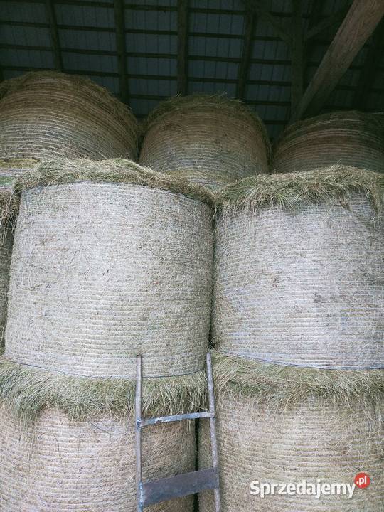 Bele siana bele słomy Siano słoma podlaskie Pace