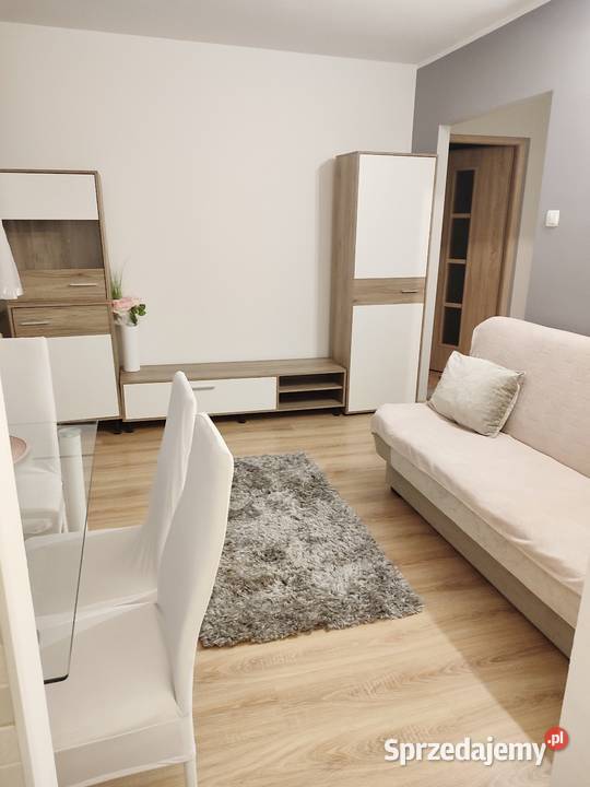 Do wynajęcia mieszkanie 2pok w centrum Koła Koło