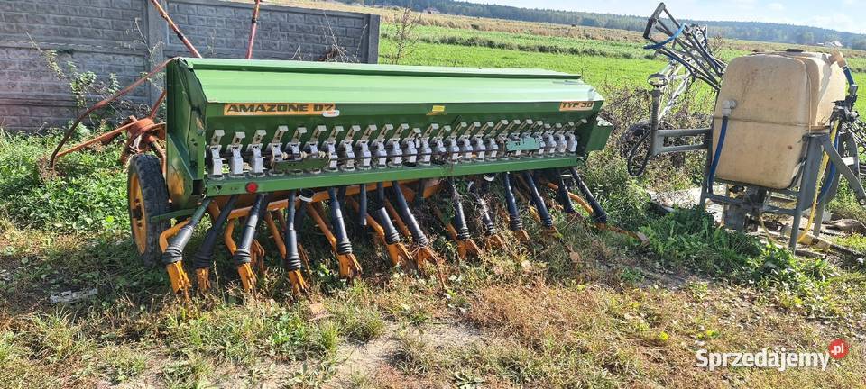 Siewnik amazone świętokrzyskie Wszachów