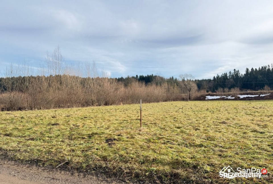 Grunt Baligród 3626m2