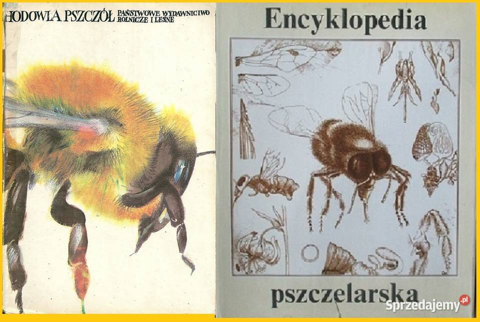 Hodowla pszczół Encyklopedia pszczelarska łódzkie Łódź