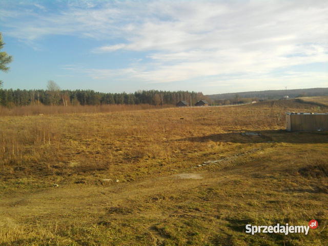 dzialke siedliskowom w czapielsku Czapielsk
