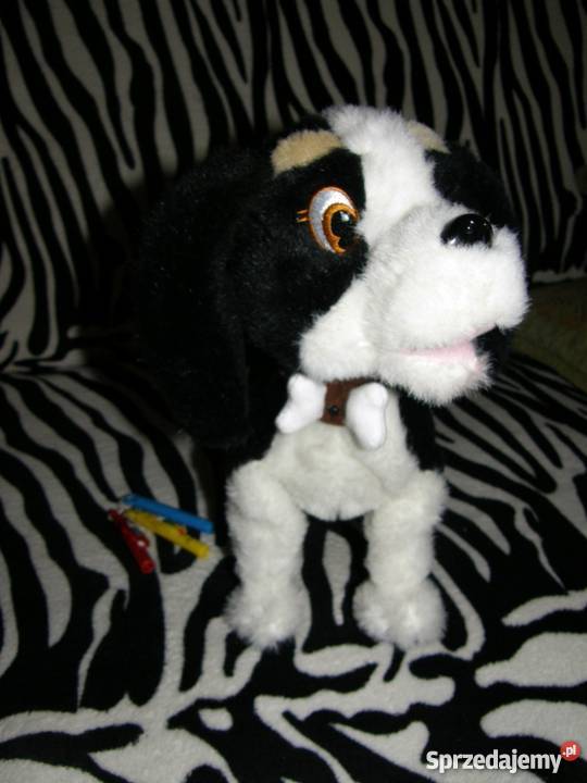 Interaktywny pies Bobby biało lubelskie Biała