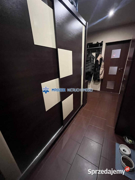 Mieszkanie JastrzębieZdrój 4635m2 2 pok Sprzedaż śląskie Jastrzębie-Zdrój sprzedam