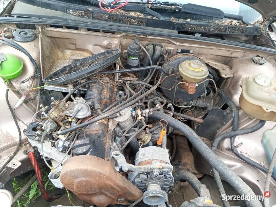 Audi 80 Czermno