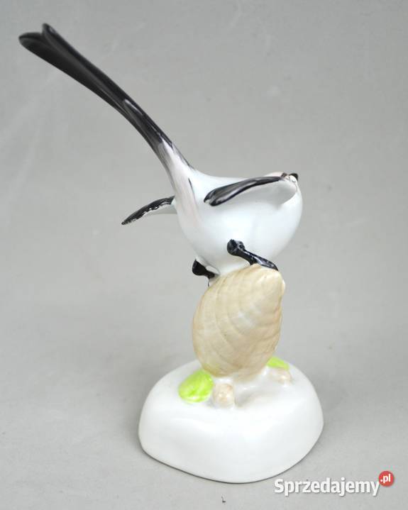 Ptak na szyszce Aquincum Budapeszt Węgry lata Pomiechówek