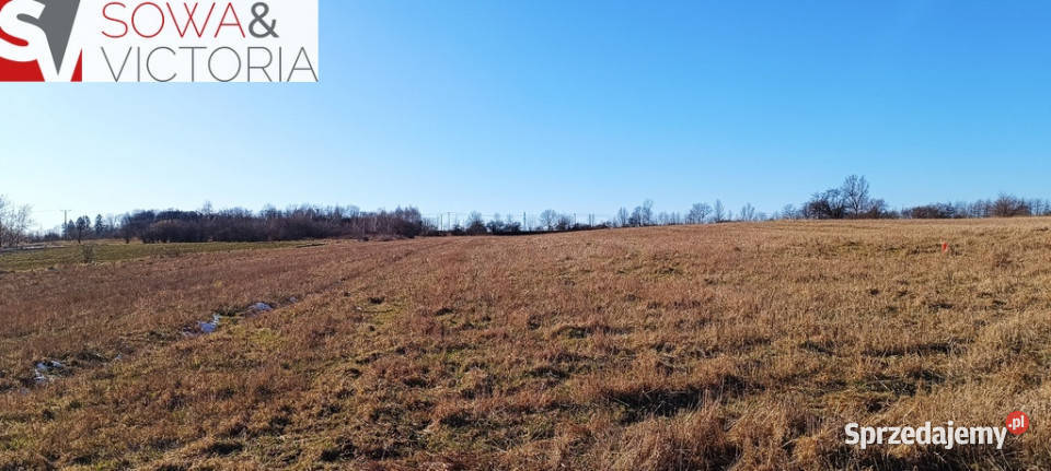 Słoneczna działka budowlana w Szczawnie Zdroju utwardzona Szczawno-Zdrój
