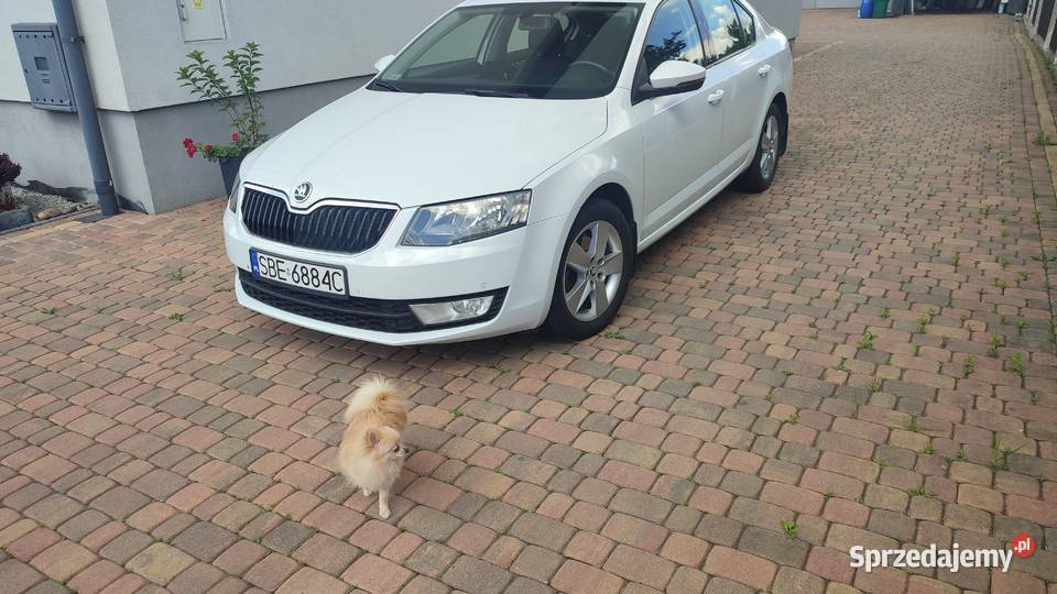 Skoda Octavia 14 benzyna krajowy ogranicznik prędkości Octavia