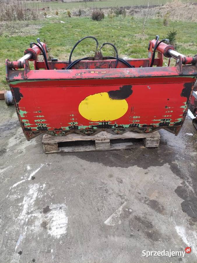 Wycinak szczękowy pirania Mchale Czyżew