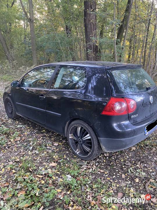 Golf V5 części silnik 19 BKC BXE skrzynia biegów Zgorzelec